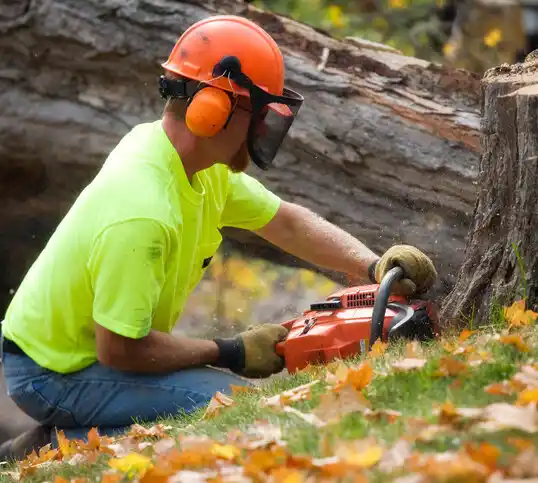 tree services Boiling Spring Lakes